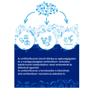 Antibiotikum-rezisztens baktériumok terjedése